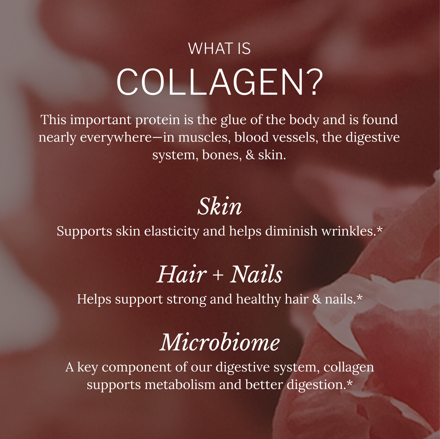 Multi Collagen Alaya Naturals