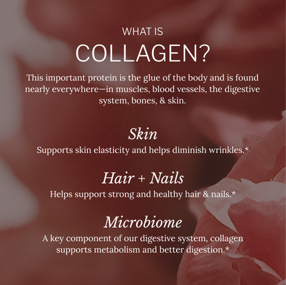 Multi Collagen Alaya Naturals